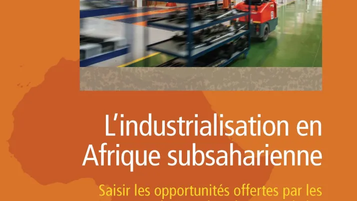 Afrique en développement_Industrialisation en Afrique 